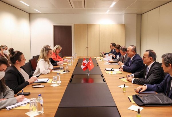 Главы МИД Турции и Канады обсудили события в Украине