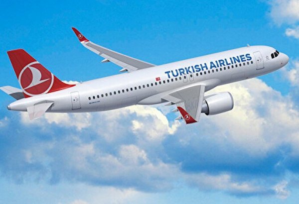 Turkish Airlines posts $233 million profit