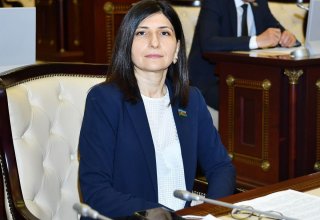 Ermənistan anlamalıdır ki, 10 noyabr bəyanatının yerinə yetirilməsinə heç bir alternativ yoxdur - Sevil Mikayılova