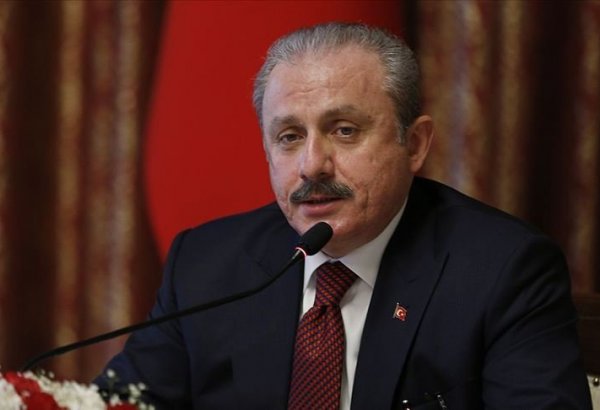 Спикер парламента Турции отметил значимость поддержки Австрией борьбы с терроризмом
