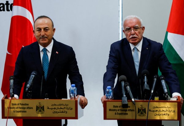 Turkey pledges full support for Palestine's sovereignty: Cavushoglu