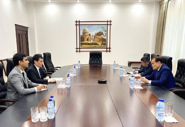 В минтраспорта Узбекистана рассмотрели перспективы развития сотрудничества с Организацией тюркских государств