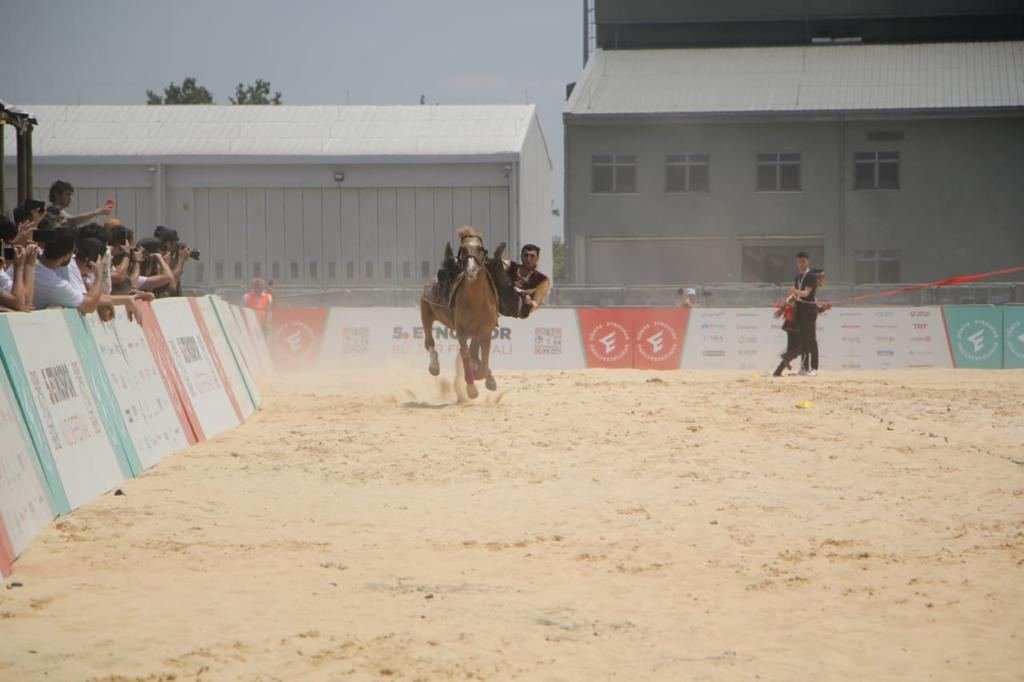 Qarabağ atları V Etnospor Mədəniyyət Festivalında (FOTO/VİDEO)