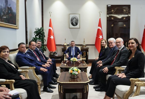 Cumhurbaşkanı Yardımcısı Oktay, KKTC-Türkiye Dostluk Grubu Başkanı Canaltay'ı kabul etti