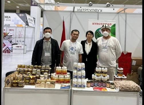 Кыргызский мед будут экспортировать в Южную Корею