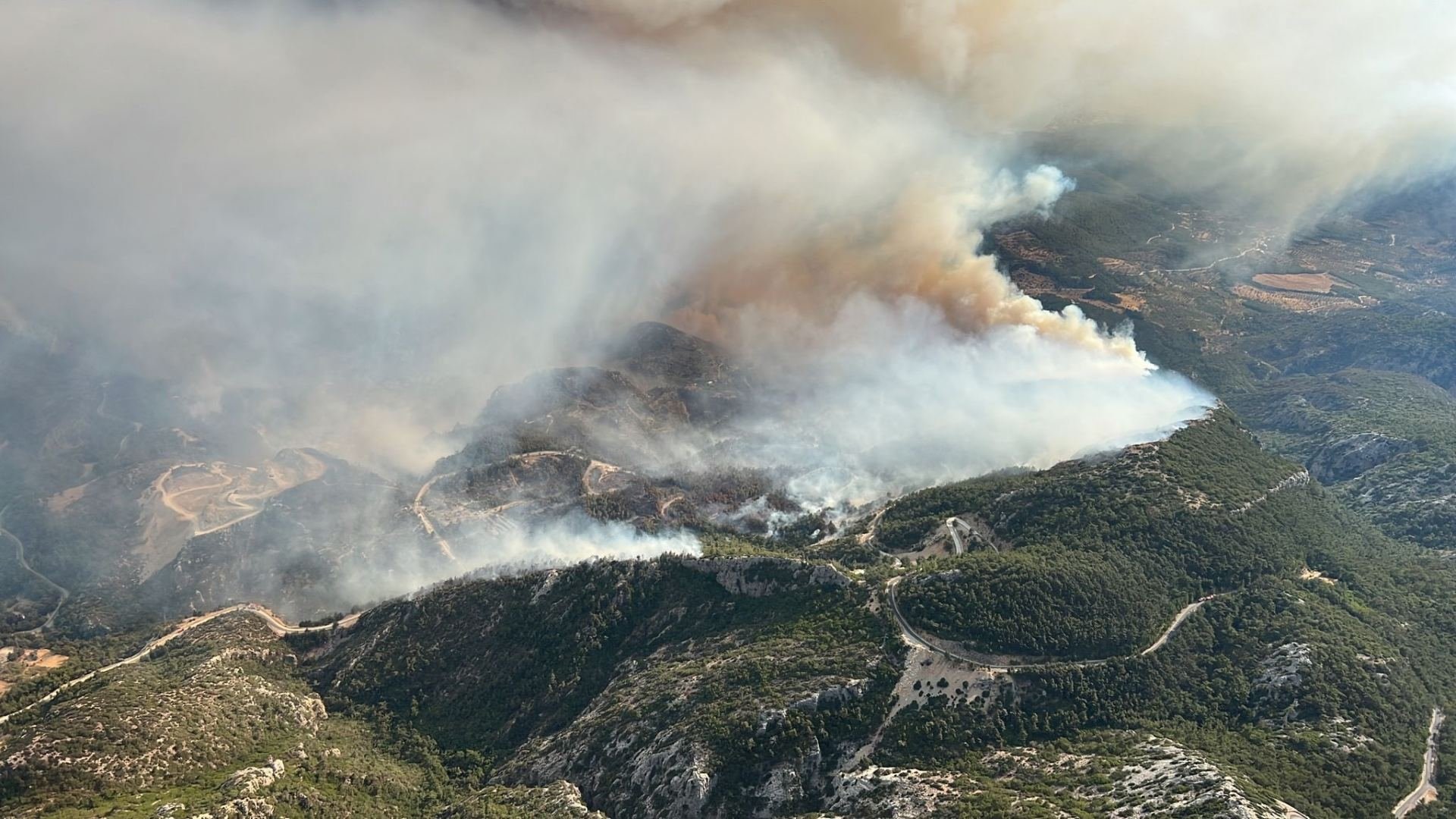 В результате лесного пожара в Турции пострадали почти 19 человек