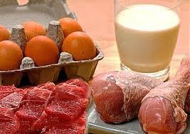 В текущем году в Кыргызстане произведено больше мяса, яиц и молока