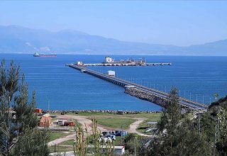 Yanvar-iyun aylarında Ceyhan limanı 800 mindən çox yük qəbul edib (ÖZƏL)