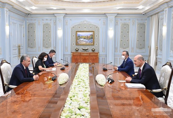 Özbekistan Cumhurbaşkanı Mirziyoyev, İçişleri Bakanı Soylu'yu kabul etti