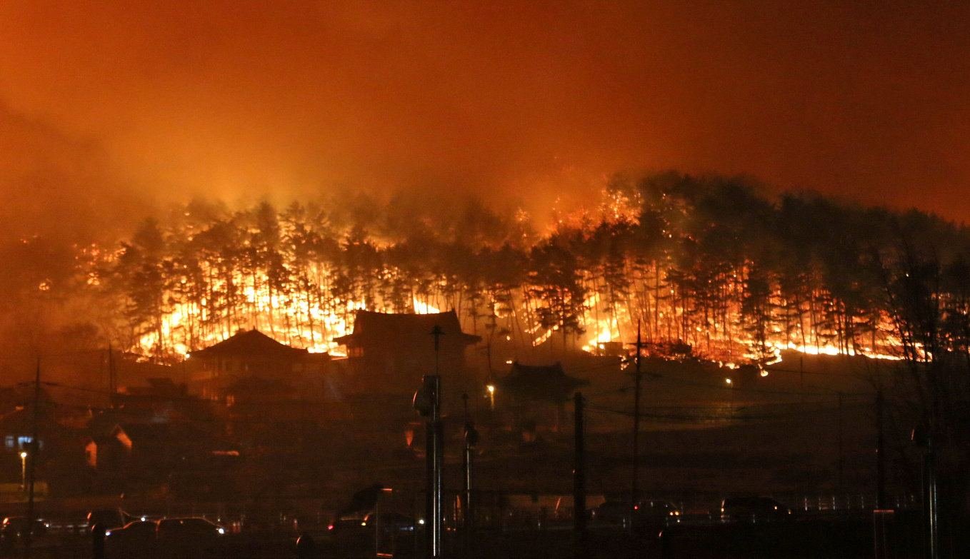 410 people evacuated as forest fire breaks out in S. Türkiye