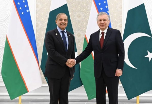 Pakistan ve Özbekistan liderleri Şanghay İşbirliği Örgütü Zirvesi'nde görüştü