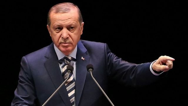 Türkiye resolves issue with 'grain corridor' in Black Sea - Erdogan