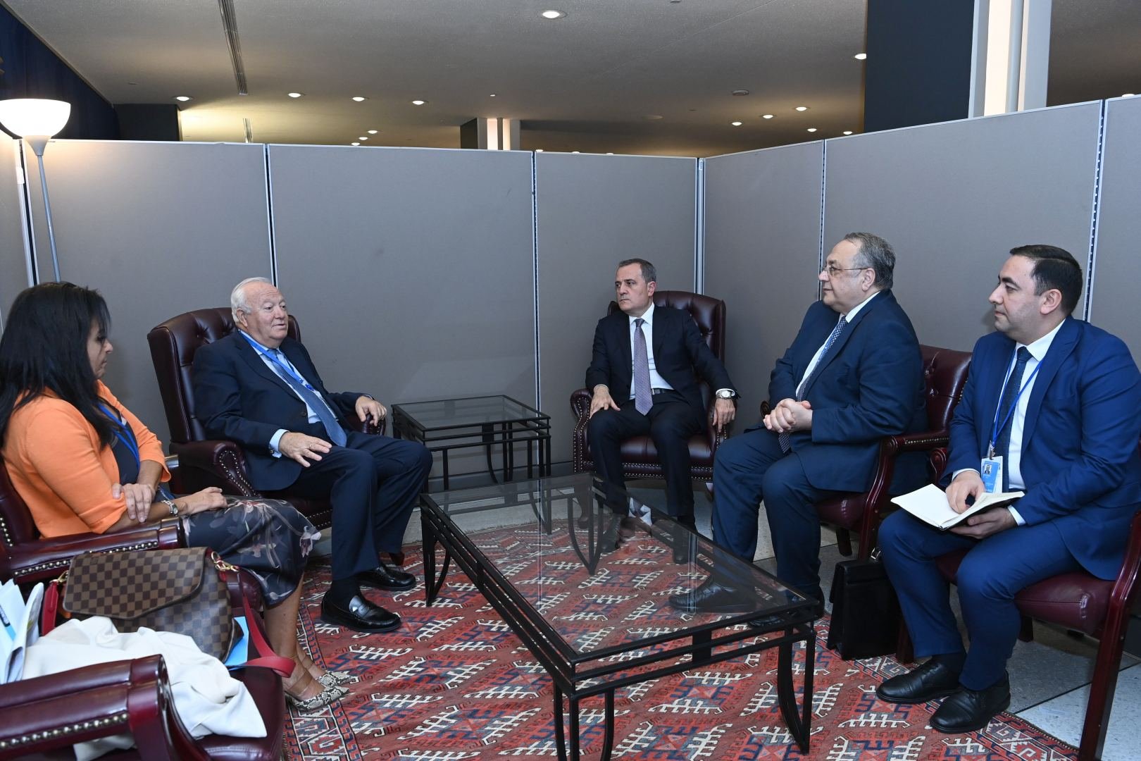 Azerbaijani FM meets with High Representative of United Nations Alliance of Civilizations (PHOTO)