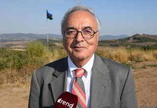Карабах приобретает важное значение для всего тюркского мира - Алев Кылыч