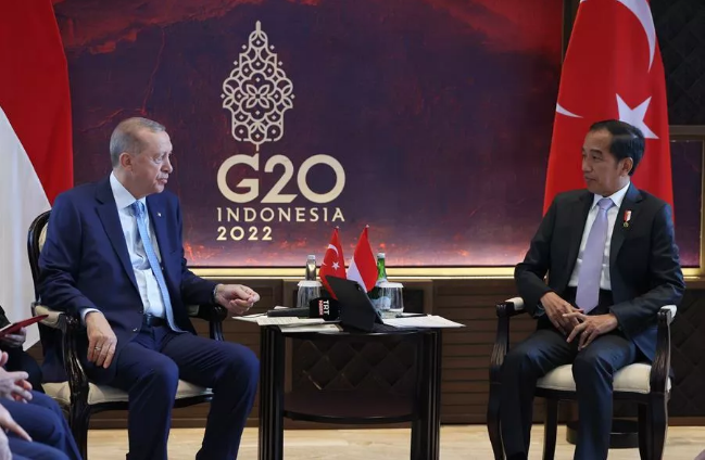 Erdogan to attend G20 summit, meet world leaders