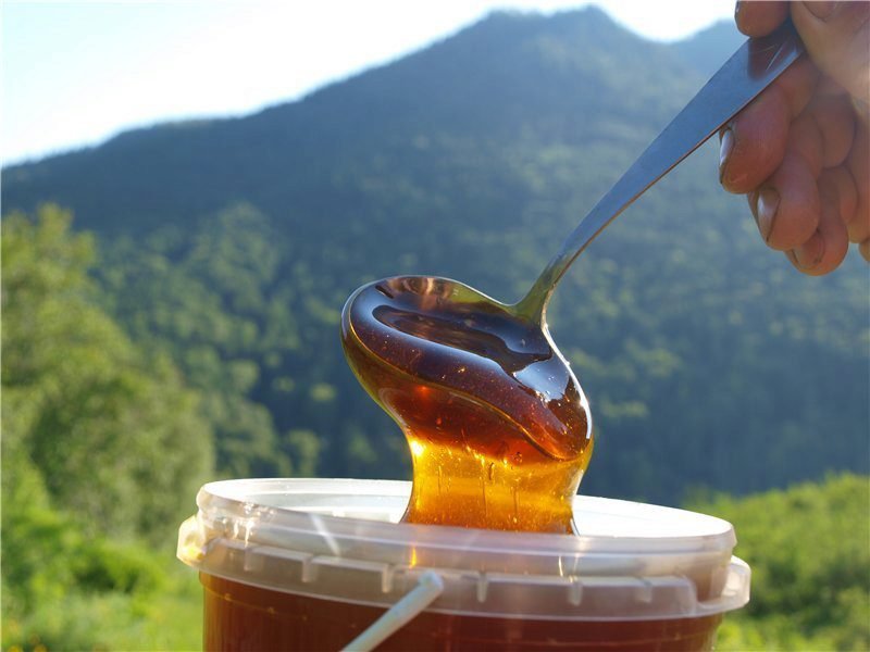Кыргызстан возобновил экспорт меда в Китай впервые с момента пандемии