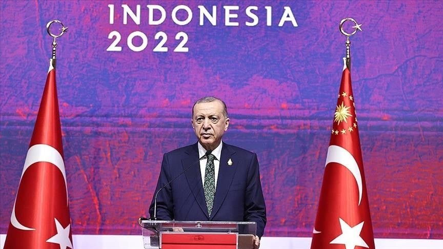 Türkiye pushing for further Russia-US talks - Erdogan