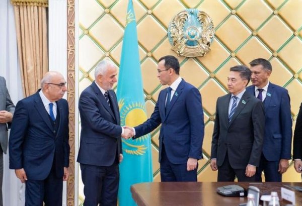 Kazakh Senate Speaker Maulen Ashimbayev meets election observers of TurkPA