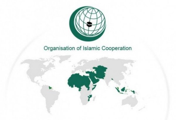 Türkiye's exports to OIC member countries revealed