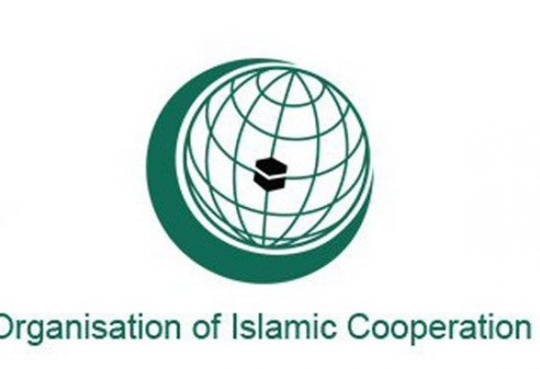OIC to prepare report on results of monitoring in Azerbaijan's liberated territories