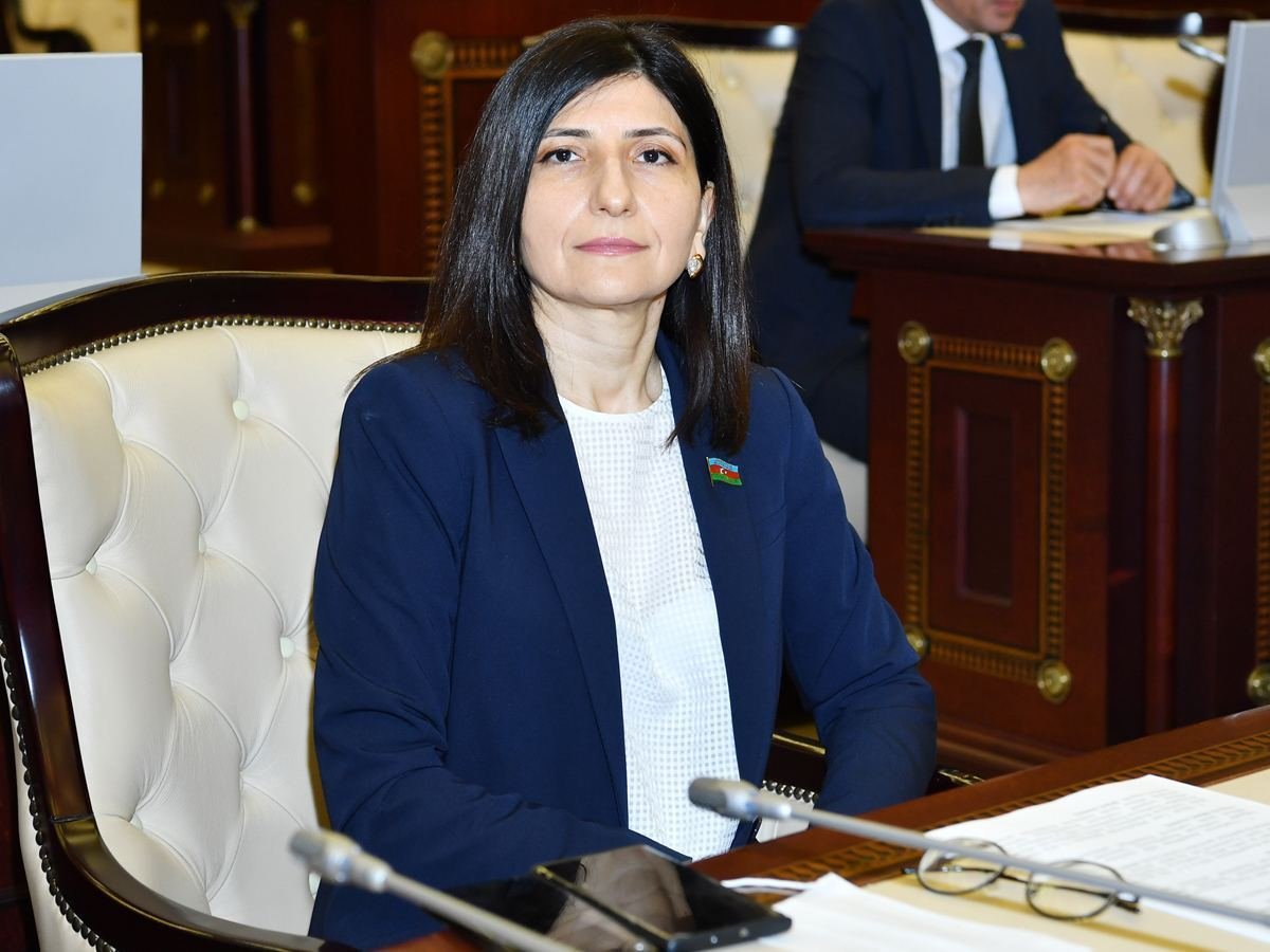 Avropa Parlamentində bəzi deputatlar öz vəzifələrini unudub, Ermənistanın maraqları üçün lobbiçilik edirlər - Sevil Mikayılova