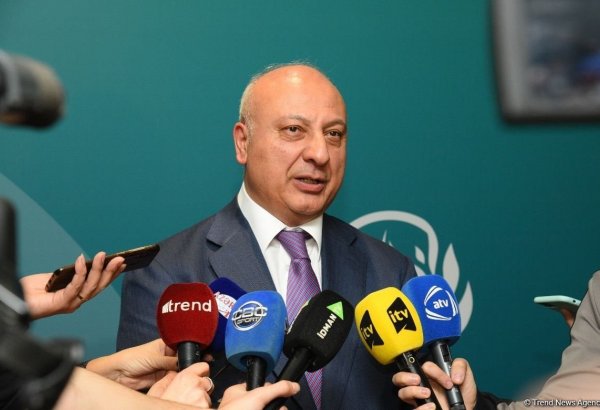 Алтай Гасанов: После избрания Мехрибан Алиевой президентом Федерации гимнастики Азербайджана была заложена основа успешного развития AGF