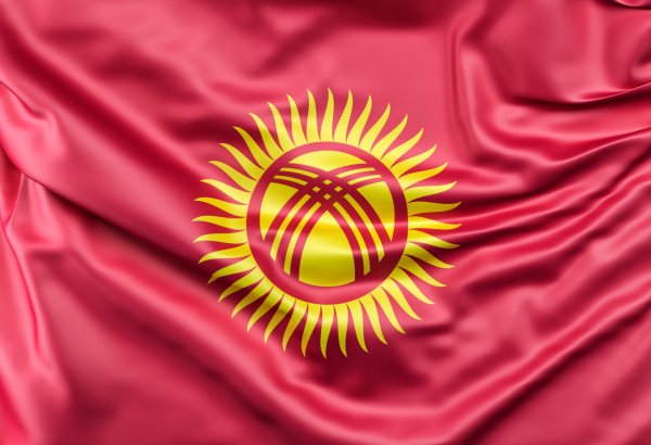 Профильный комитет парламента Кыргызстана одобрил законопроект по изменению флага страны