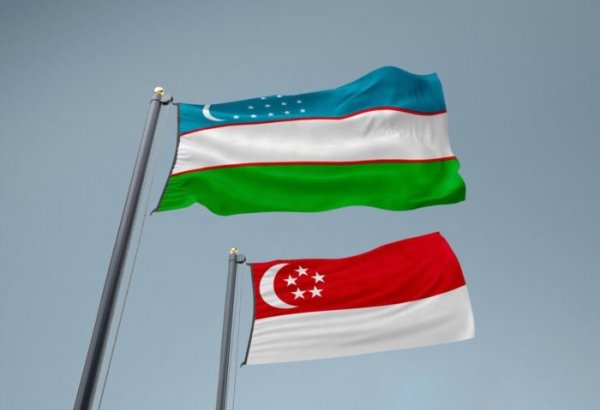 Uzbekistan, Singapore eye to strengthen transport co-op