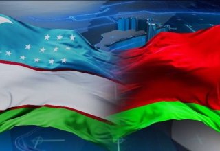 Президент Узбекистана поздравил Президента Беларуси с 30-летием установления дипломатических отношений