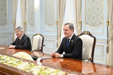 Azerbaijani FM meets with Uzbekistan's president