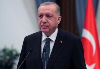 Турция приложит все силы для устранения последствий землетрясений - Эрдоган
