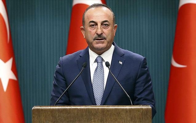 Türkiye, Azerbaijan trying to assist in gas supply to Europe - Cavusoglu