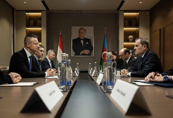 Azerbaijani, Hungarian FMs hold meeting