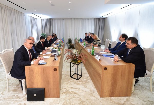 Azerbaijani Economy Minister, European Commissioner for Energy discuss green energy transition