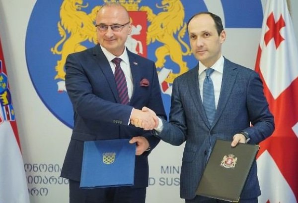 Georgian Economy Minister: Croatia's experience “useful” for Georgia's European integration