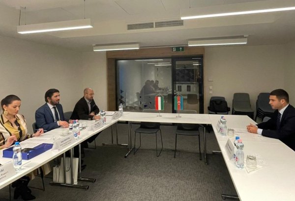Azerbaijani SMBDA's head holds several meetings in Hungary