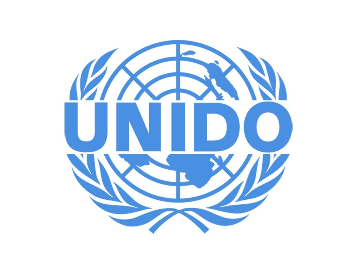 UNIDO оказывает поддержку Туркменистану в сокращении потребления озоноразрушающих веществ