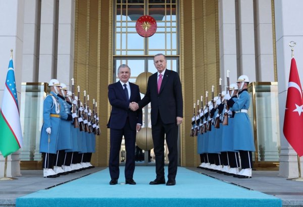 Лидеры Турции и Узбекистана обсудили состояние отношений между странами