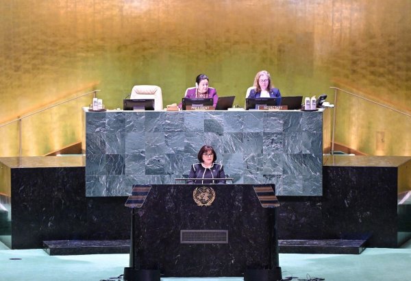 Azerbaijani Parliament's chairperson talks eco-terror of Armenia at UN meeting