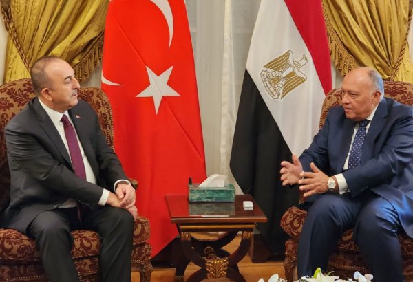 Глава МИД Египта посетит Турцию