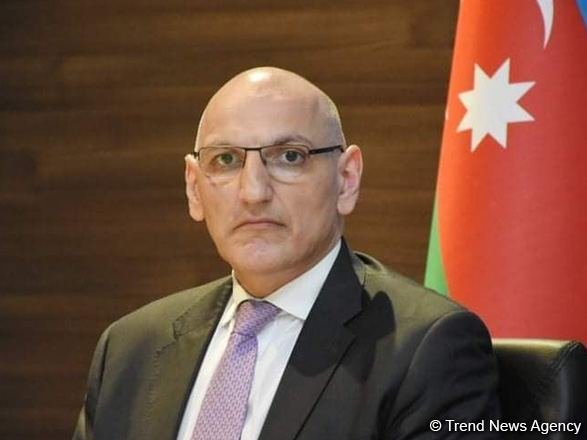 Assistant to First VP of Azerbaijan holds meetings with parliamentarians of Netherlands