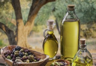 Турция увеличила экспорт оливок и оливкового масла в США (Эксклюзив)