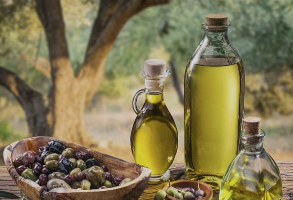 Турция увеличила экспорт оливок и оливкового масла в США (Эксклюзив)