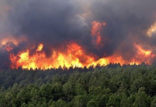 Death toll from wildfires in Kazakhstan reaches 14