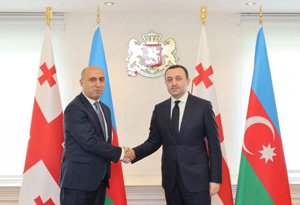 Emin Amrullaev discusses cooperation in field of education and science with Georgian PM