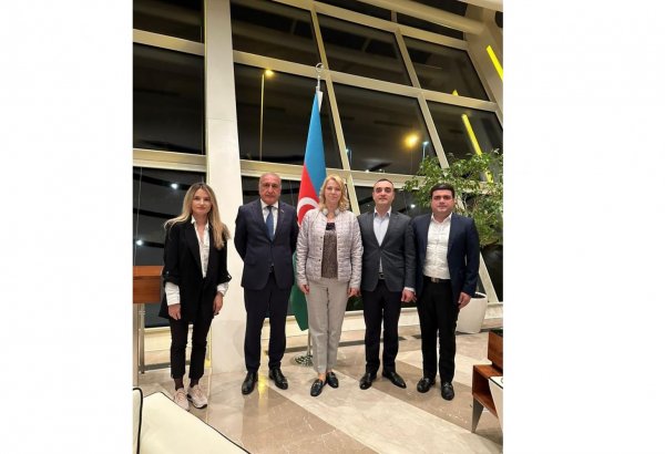 Председатель парламента Черногории прибыла в Азербайджан