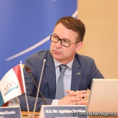 Lithuania may provide renewable energy technologies to Azerbaijan - Ambassador Egidijus Navikas