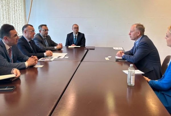 Azerbaijani delegation holds several meetings within World Health Assembly