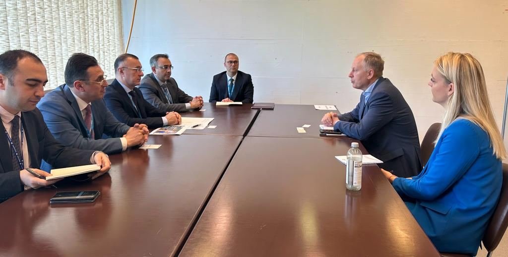 Azerbaijani delegation holds several meetings within World Health Assembly