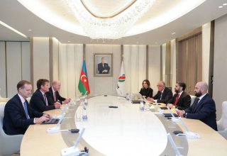 Azerbaijan's SOCAR president meets with BP executive vice president